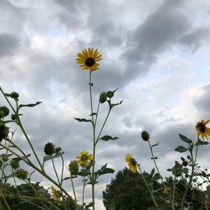 Meet your Posher, Makenzie